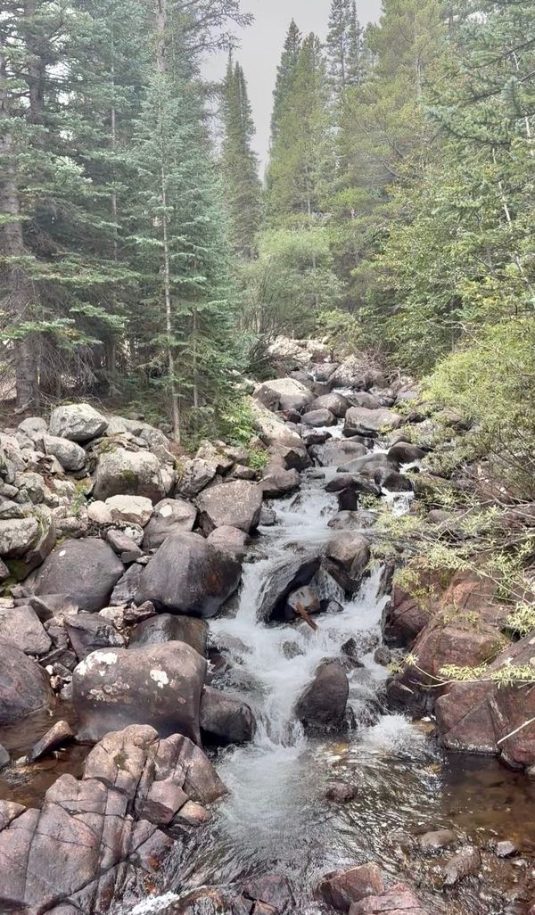 Skip the Trailhead Parking: Your Guide to Boulder County’s Hiking Shuttles