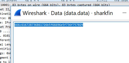 show-packet-bytes-raw