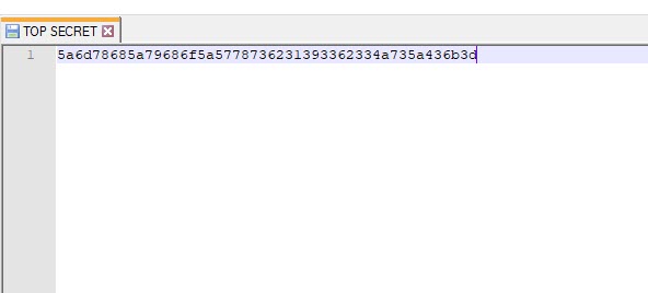 topsecret-file-contents