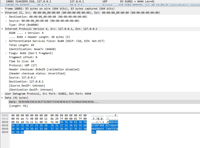 udp_wireshark