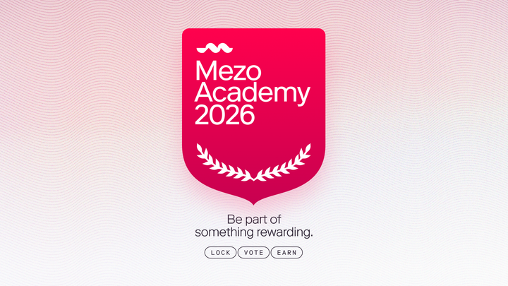Establishing the Mezo Academy