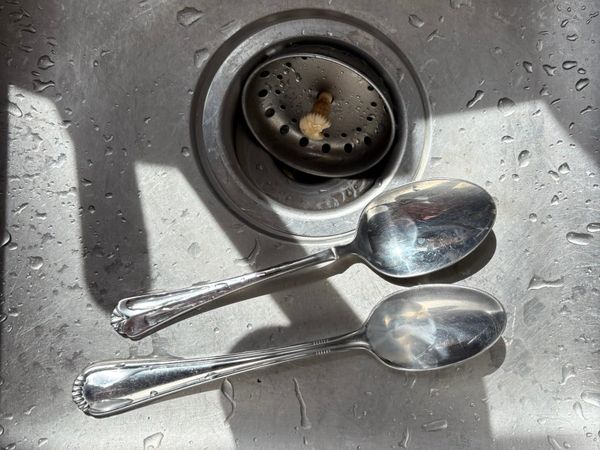 Living in the Moment: Finding Beauty in the Mundane