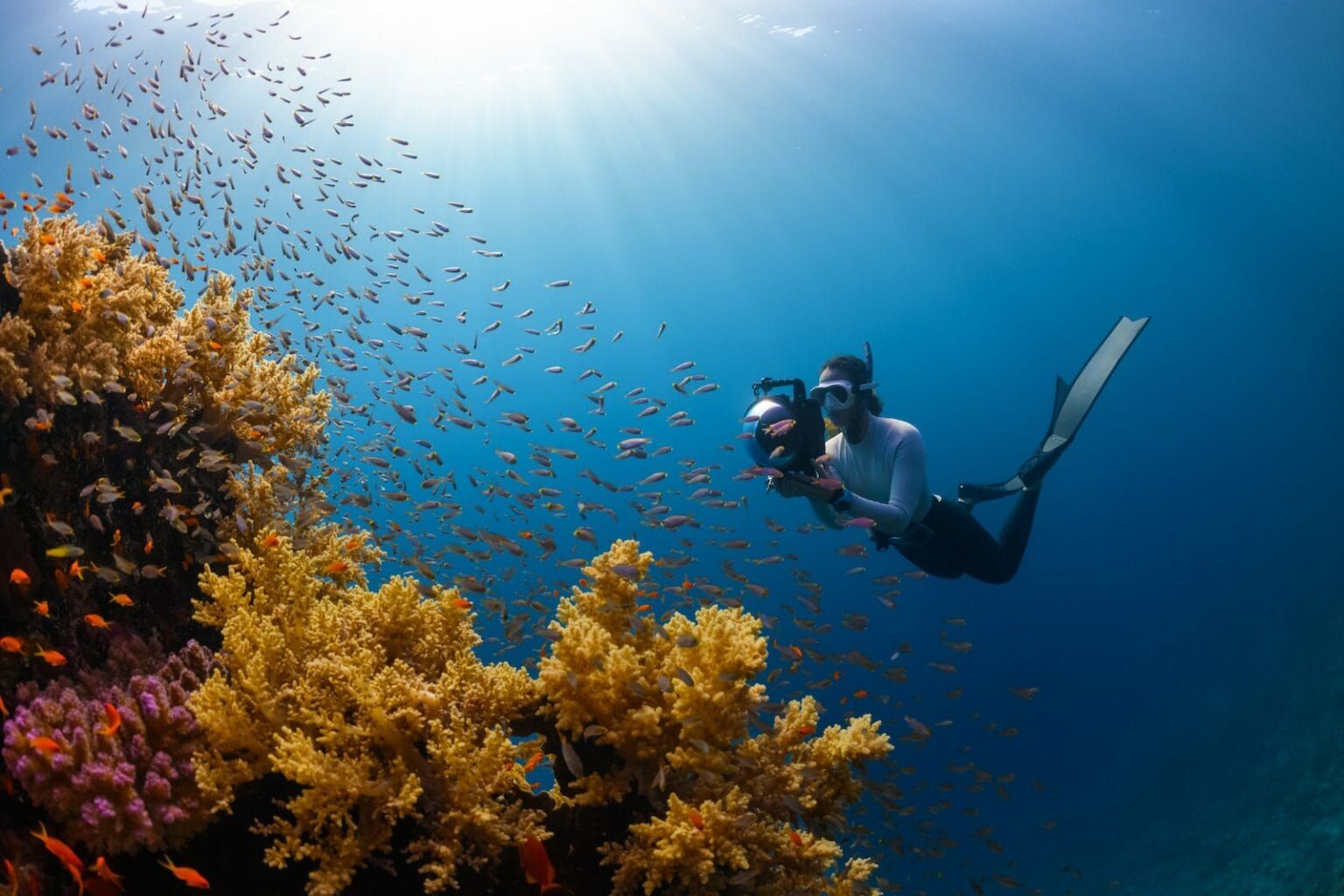 A man recording footage in the sea