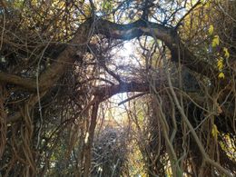 Какво посяхме в дланите си, цвете да поникне