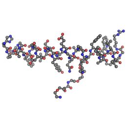 Редуциране на телесното тегло – воля и/или биология
