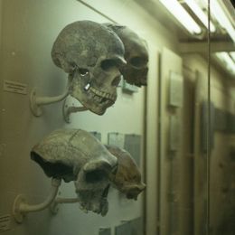 Палеогеномиката и тайните на античната ДНК