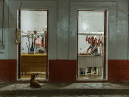 Кой бърка в джигера*