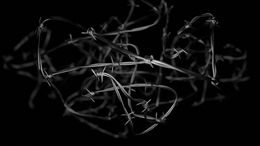 България в епохата на автократите