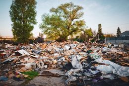 Незаконната постройка на българската законност