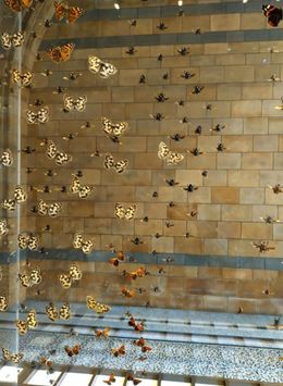 Или истината, или