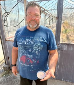 Странният случай с набръчканата гъба