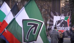 „Луковмарш“ като политическа дъвка