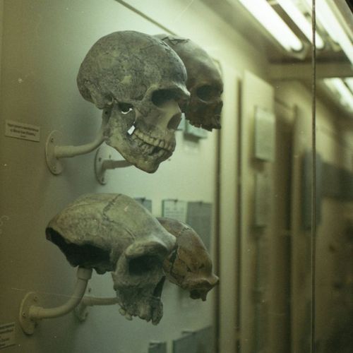 Палеогеномиката и тайните на античната ДНК