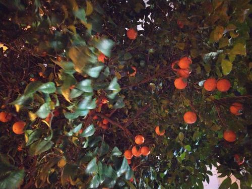 Тънките хора