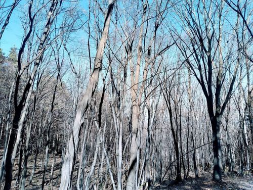 Портрет 2024–25