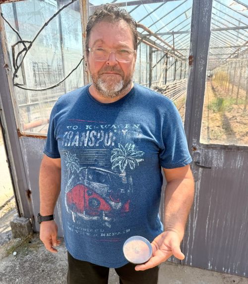 Странният случай с набръчканата гъба