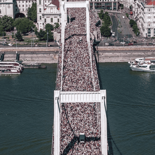 По прайда ще ги познаете