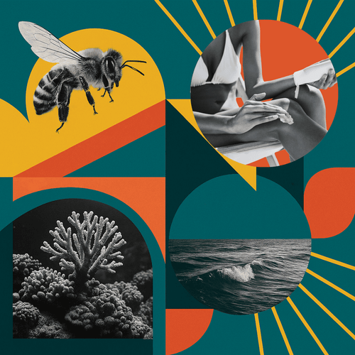 Научни новини: Храна за пчели, слънцезащита, биосензори и биоинженерна пластмаса