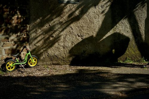 Просто добави радост. Какво са съвременните палиативни грижи за деца