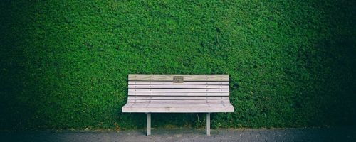 Цветята не са само черни, или умерен оптимизъм в рамките на мечтата