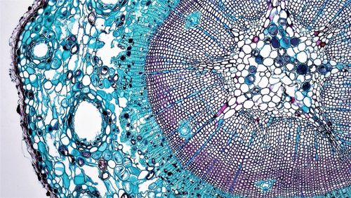 Научни новини: Нобелови награди 2022