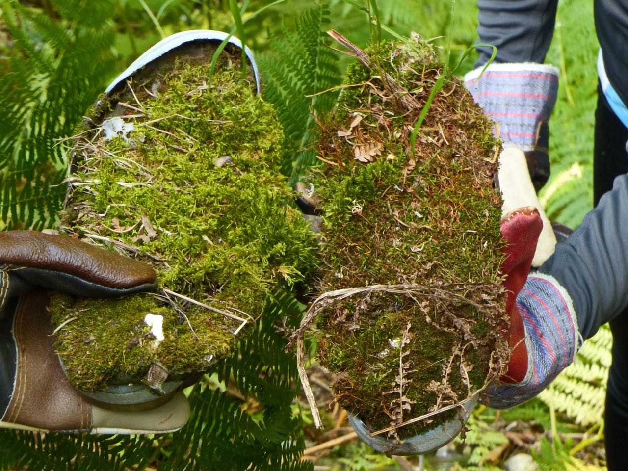 Находка в сметището Находка в сметището