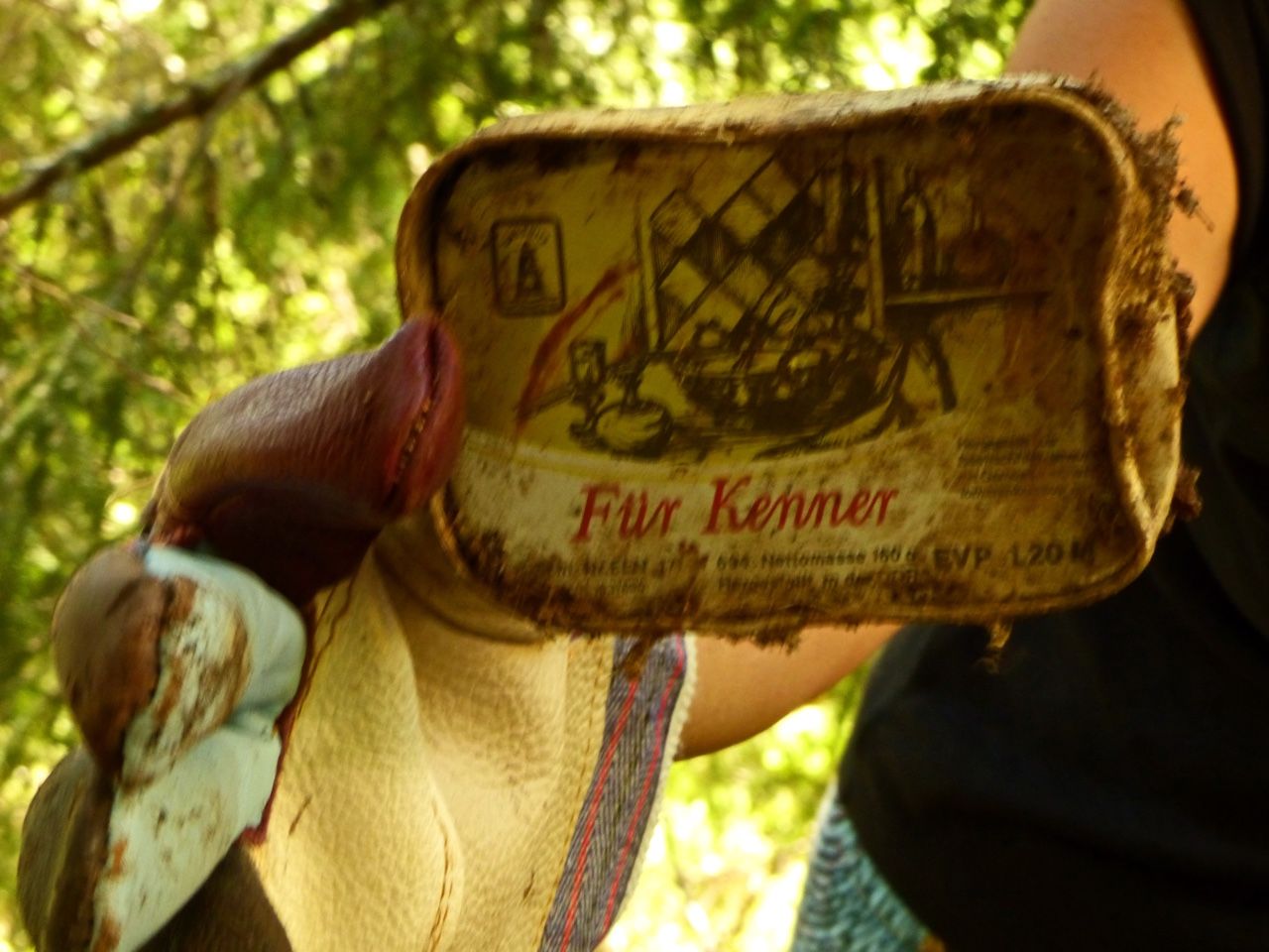 Находка в сметището Находка в сметището