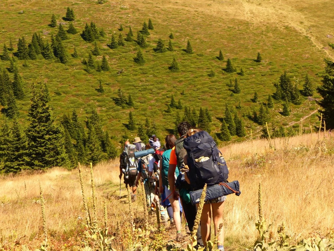 Почистване на пътеките между хижите Почистване на пътеките между хижите