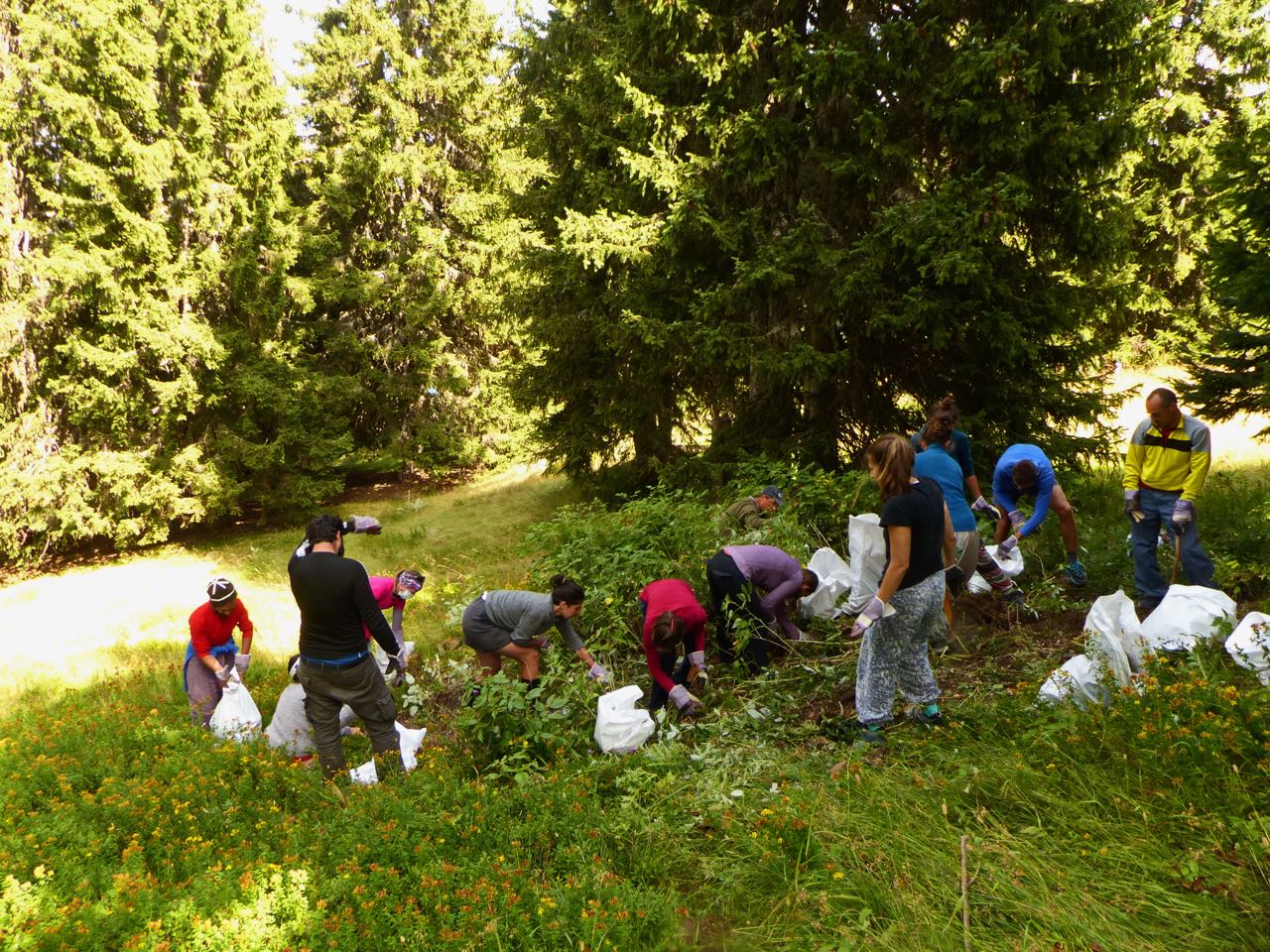 Почистване на старото сметище на х. „Перелик“ Почистване на старото сметище на х. „Перелик“