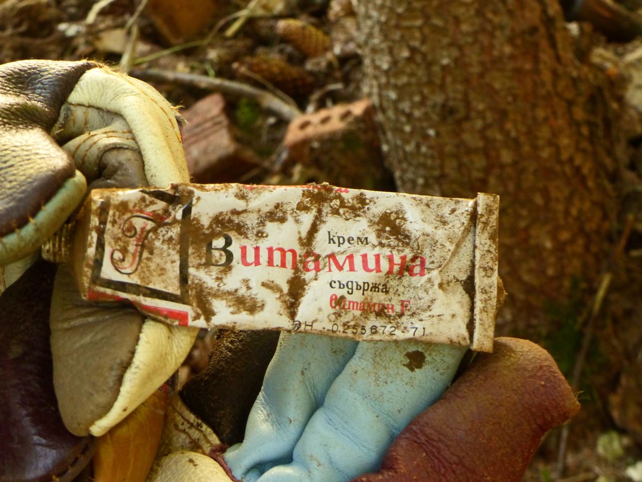 Находка в сметището Находка в сметището