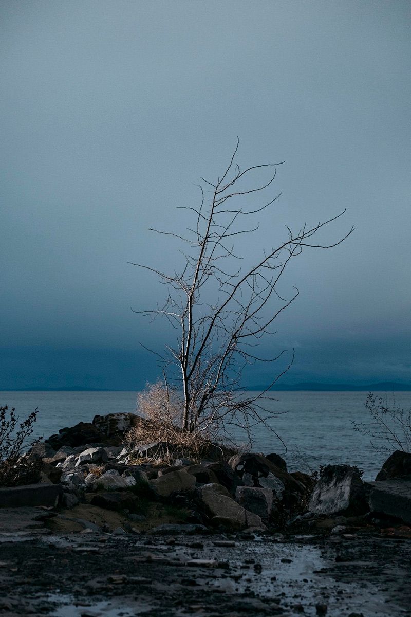 Memento Mori © Михаил Новаков