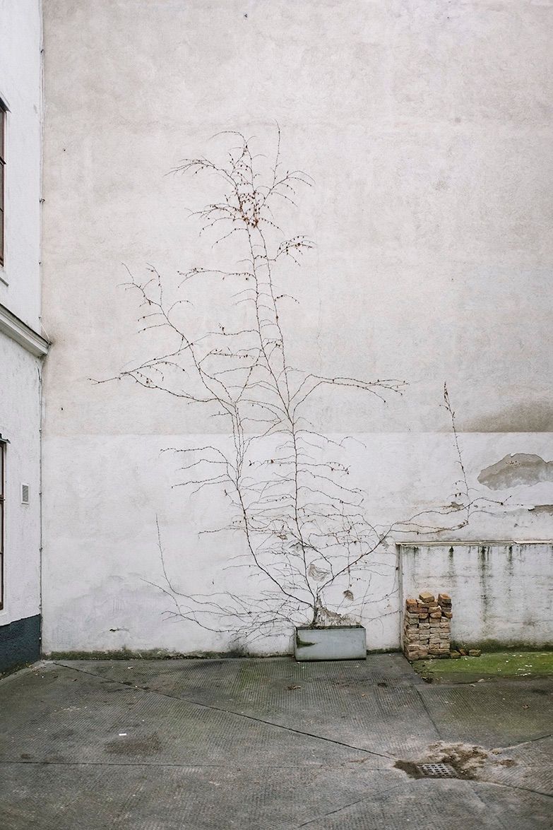 Memento Mori © Михаил Новаков