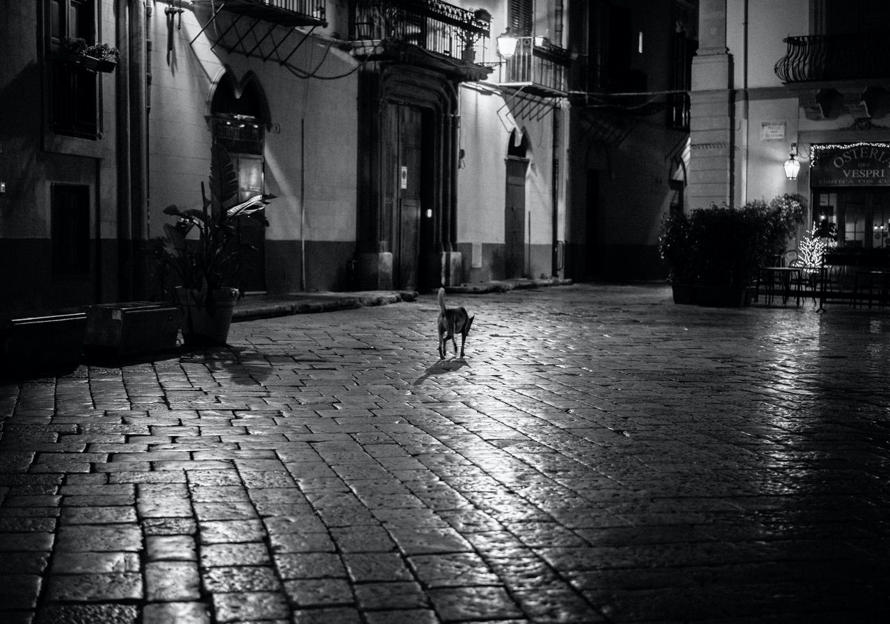 Palermo. Box. Me. by Phelia Barouh Palermo. Box. Me. by Phelia Barouh