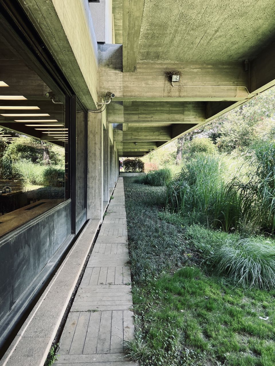 Gulbenkian Park Gulbenkian Park