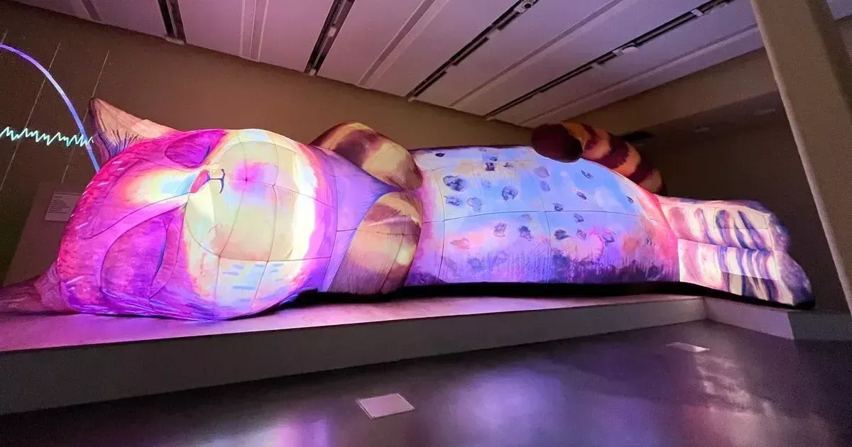 A 10m, inflatable, lit cat lies sleeping. 