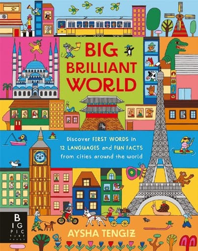 Big Brilliant World book cover