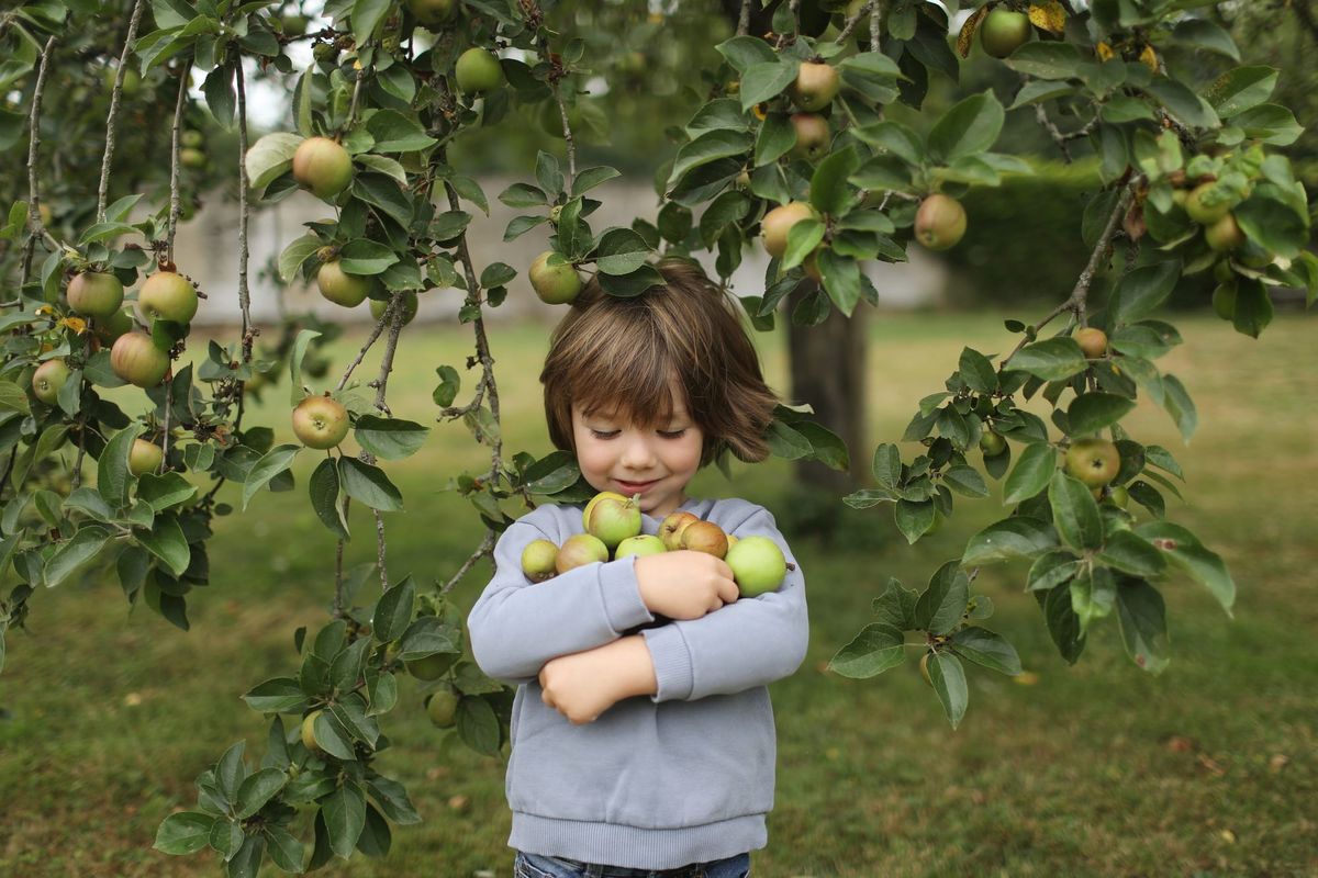 13 Things To Do With Your Family in September