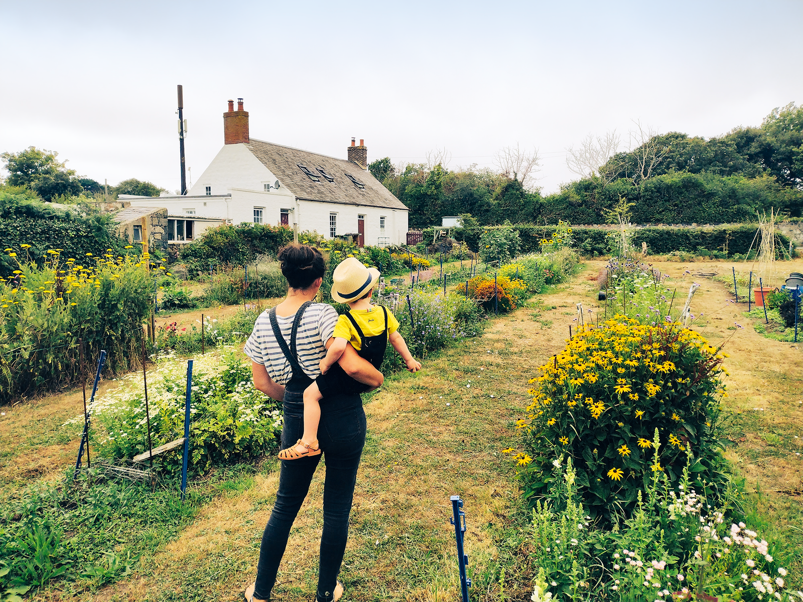 Flower Farm Guernsey