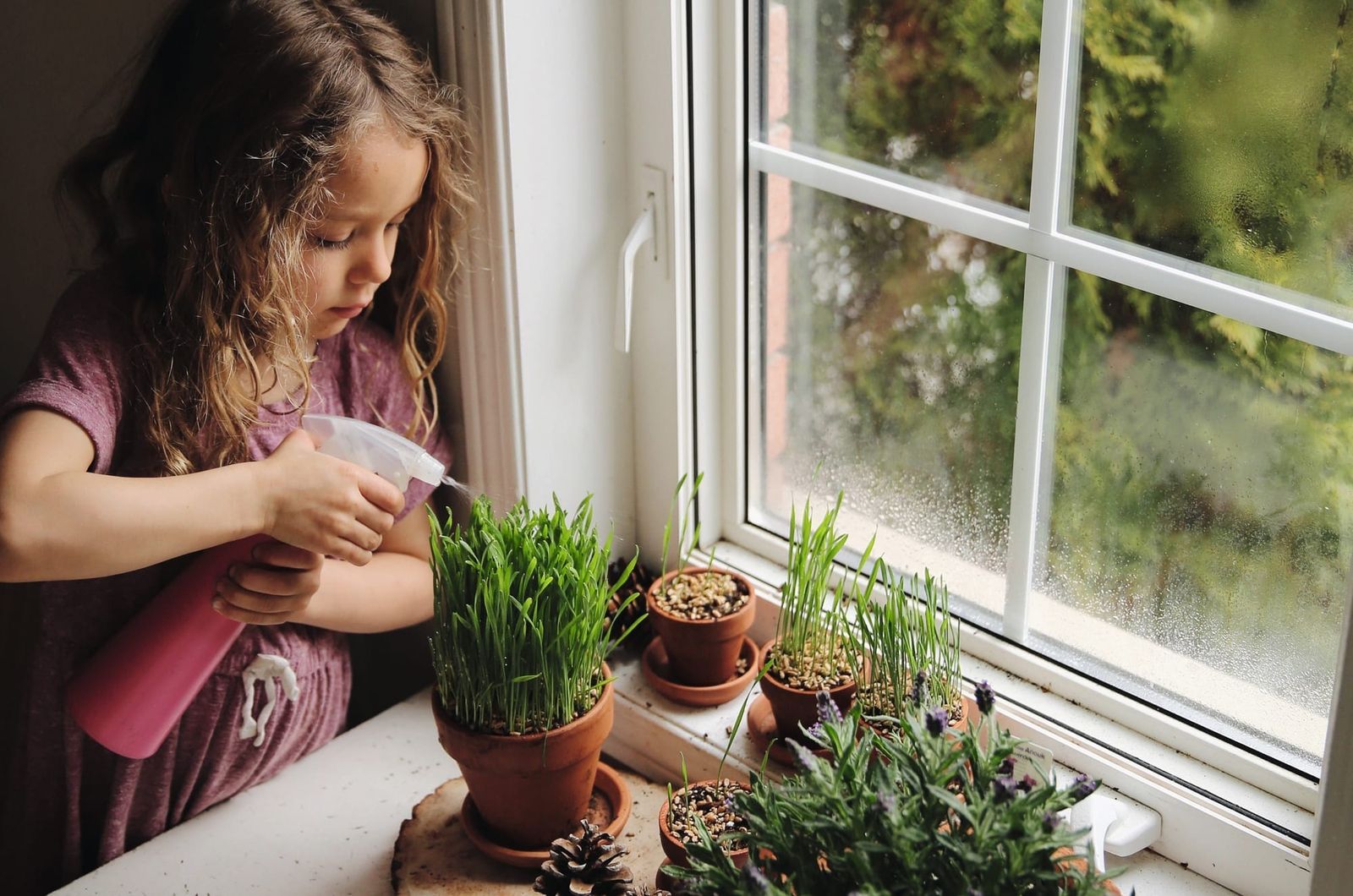 Self-directed Learning: How to Get Started