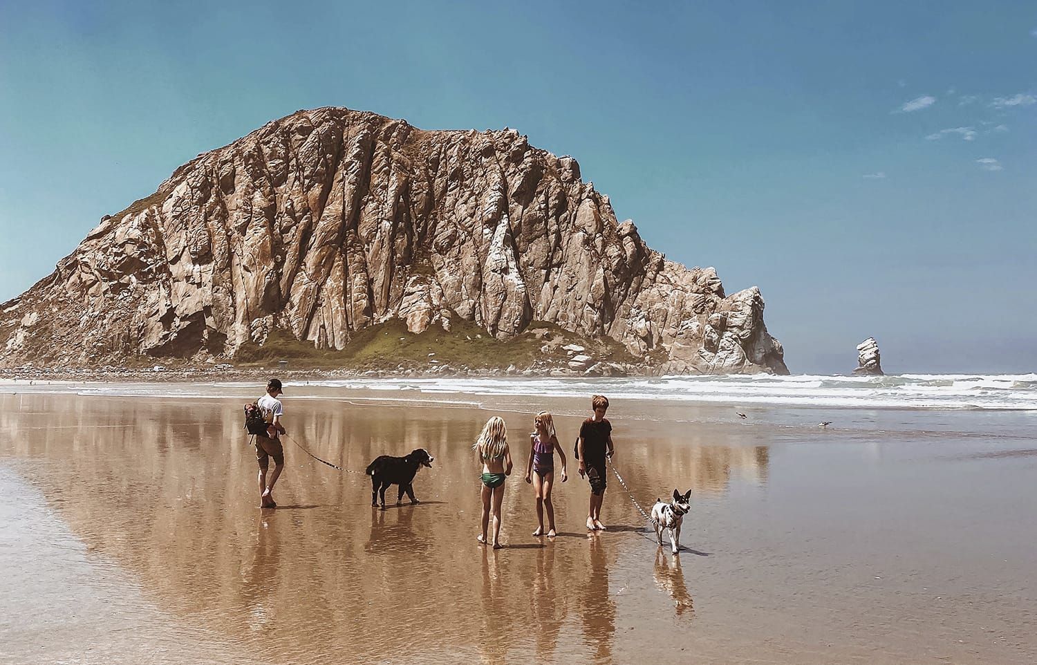 Photograph of a family on the beach at the shoreline with their dog, overlooked by a huge rock