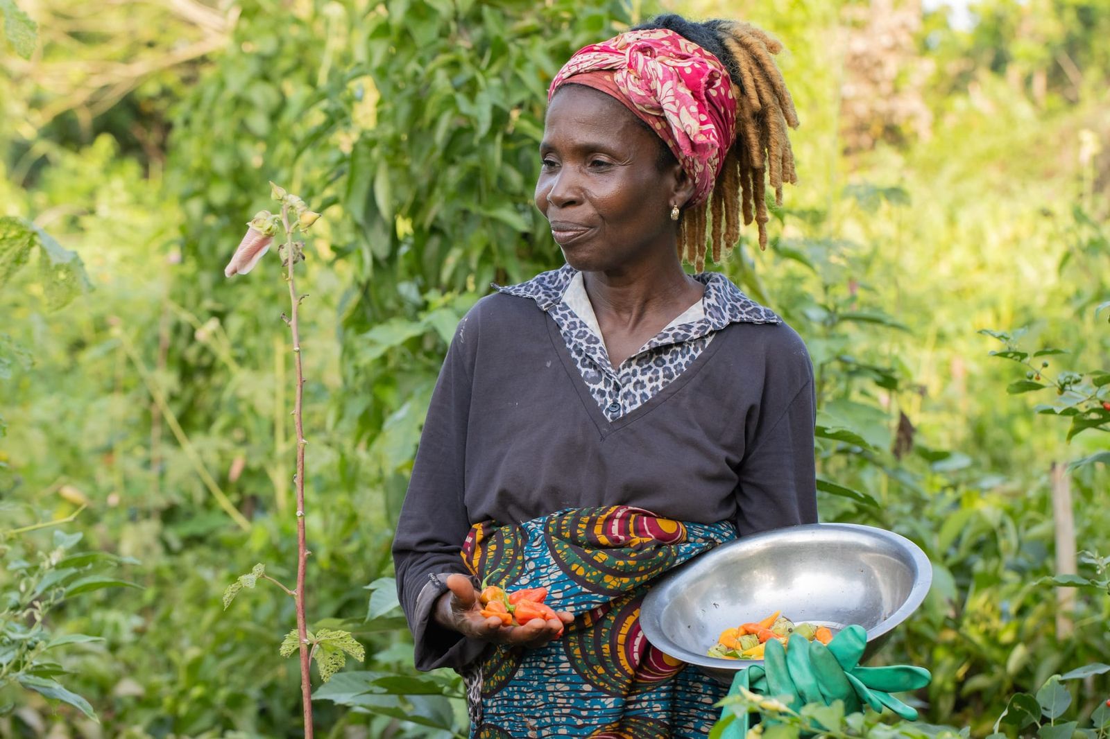 Woman farming