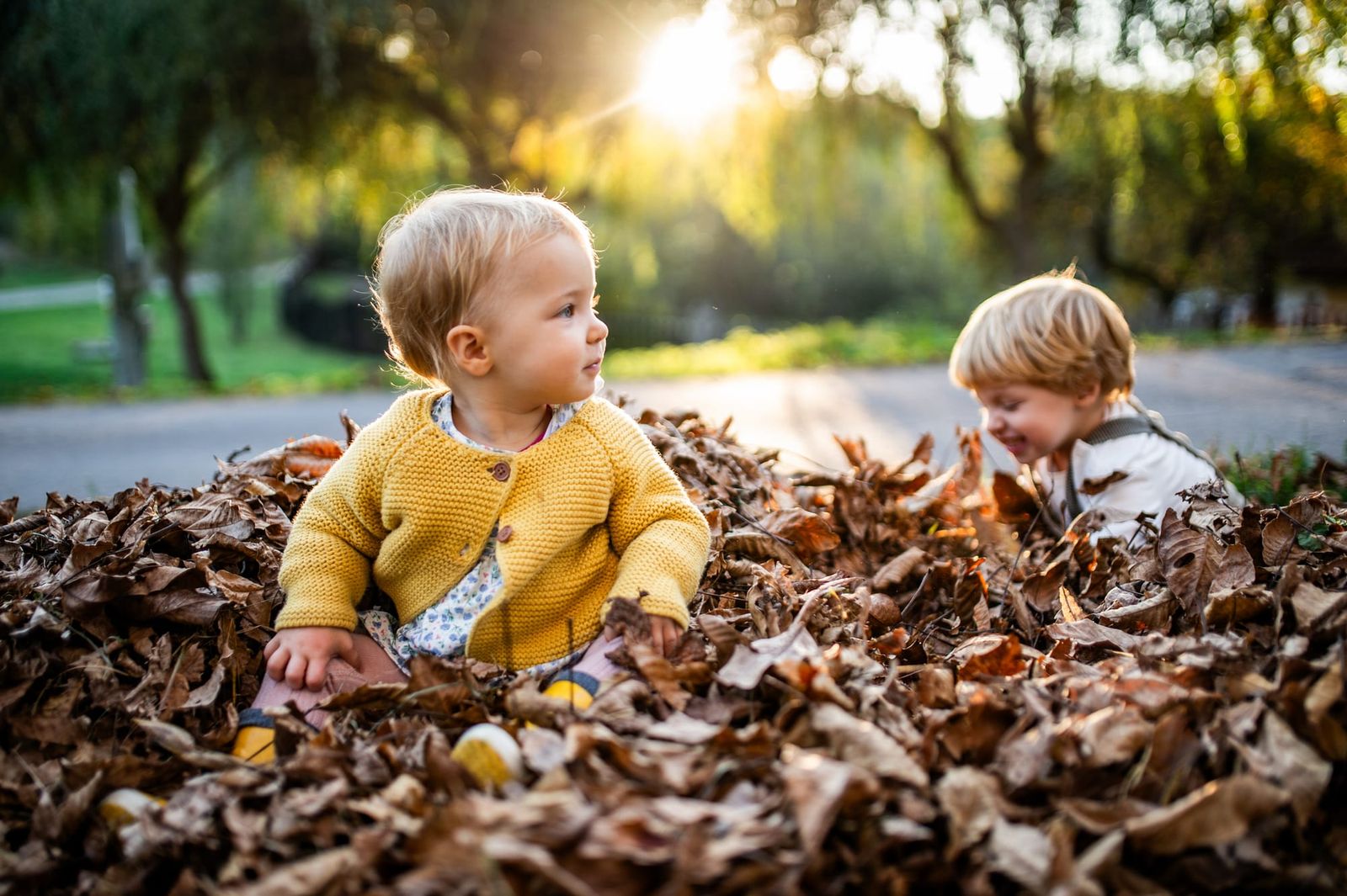 siblings playing in autumn leaves