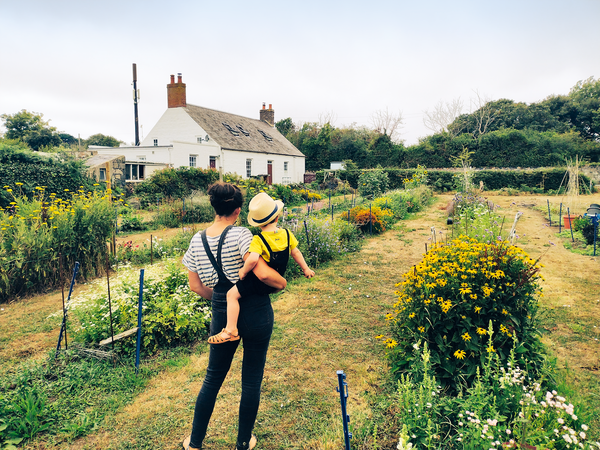 Flower Farm Guernsey