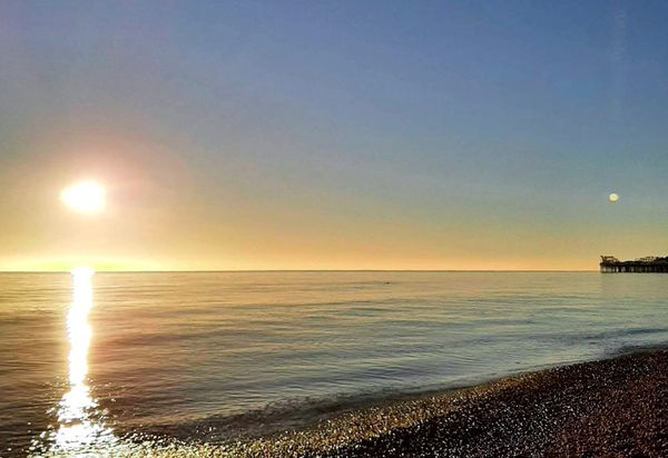 Make a Whole Home Ed Plan in 2 Minutes!