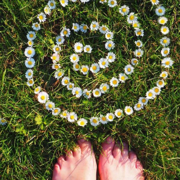 7 Fun, Free Play Ideas to Make the Most of a Trip to the Woods!