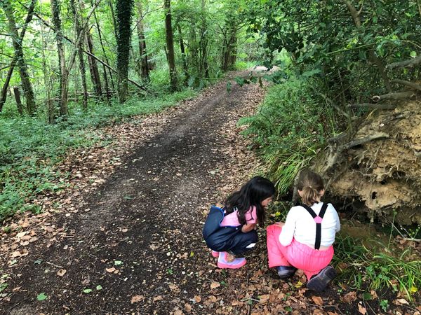 Why I'm Not Writing a Newsletter Tonight