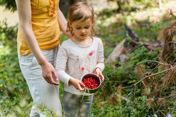 14 Things to do in July