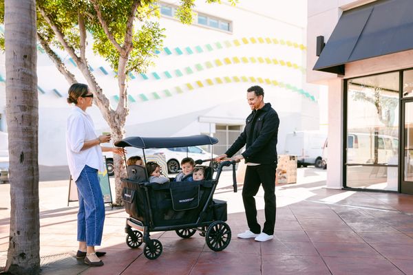 Adventure-ready? The new WonderFold wagons that offer it all!