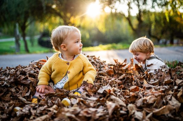 siblings playing in autumn leaves