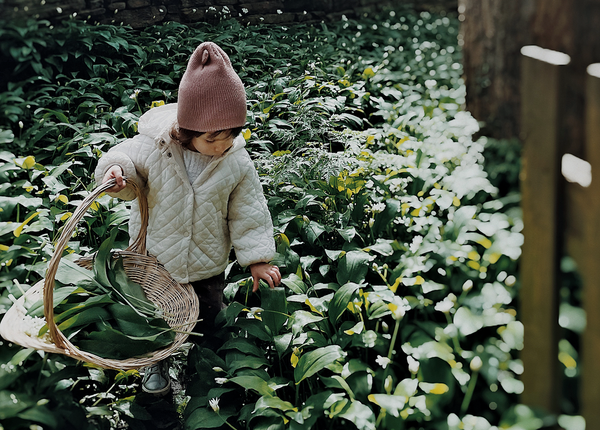 Wonders of Wild Garlic